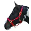Hy Equestrian Deluxe Padded Head Collar - Red